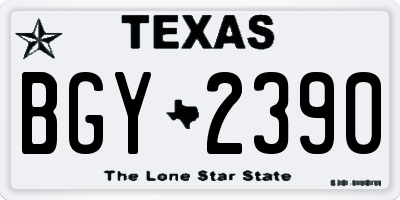 TX license plate BGY2390