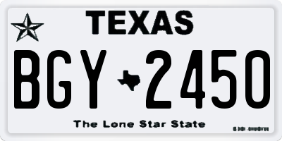 TX license plate BGY2450
