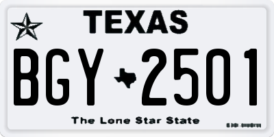 TX license plate BGY2501