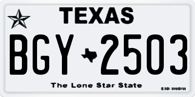 TX license plate BGY2503