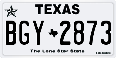 TX license plate BGY2873
