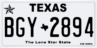 TX license plate BGY2894