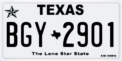 TX license plate BGY2901