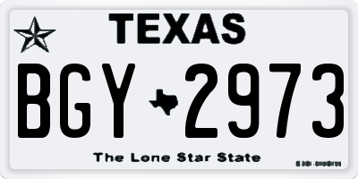 TX license plate BGY2973