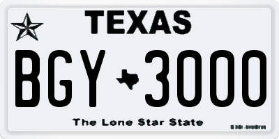TX license plate BGY3000