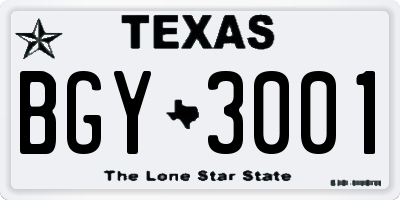 TX license plate BGY3001