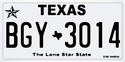 TX license plate BGY3014
