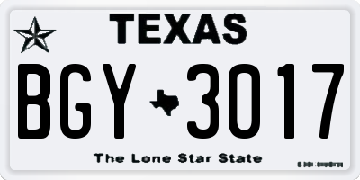 TX license plate BGY3017