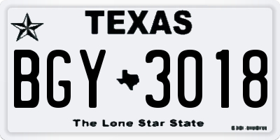 TX license plate BGY3018