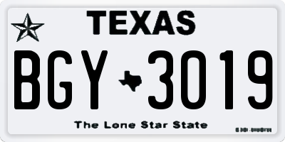 TX license plate BGY3019