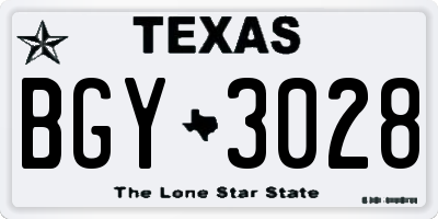 TX license plate BGY3028