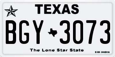 TX license plate BGY3073