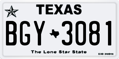 TX license plate BGY3081