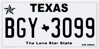 TX license plate BGY3099