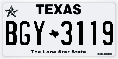 TX license plate BGY3119