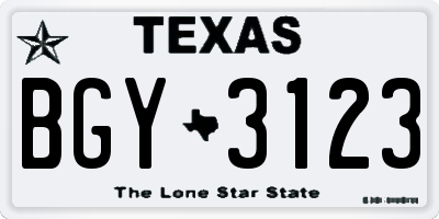 TX license plate BGY3123