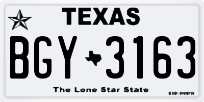 TX license plate BGY3163