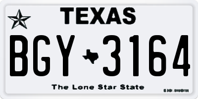 TX license plate BGY3164
