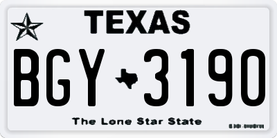 TX license plate BGY3190