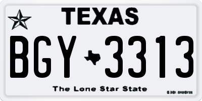 TX license plate BGY3313