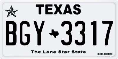 TX license plate BGY3317