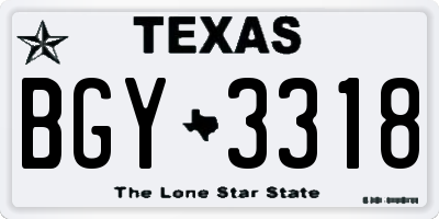 TX license plate BGY3318