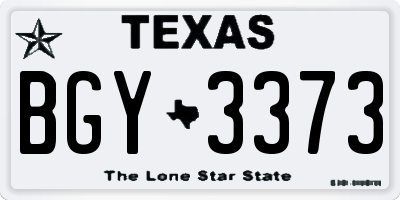 TX license plate BGY3373