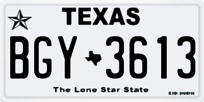 TX license plate BGY3613
