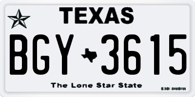 TX license plate BGY3615