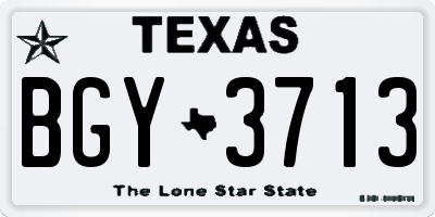 TX license plate BGY3713