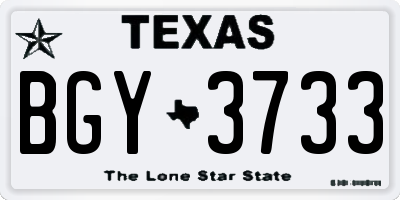 TX license plate BGY3733