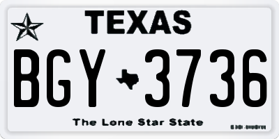 TX license plate BGY3736