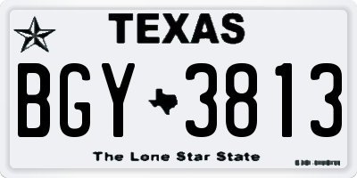 TX license plate BGY3813
