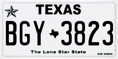 TX license plate BGY3823