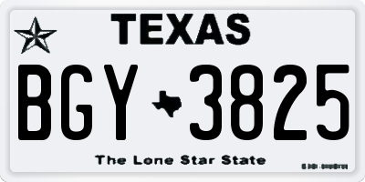 TX license plate BGY3825