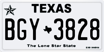 TX license plate BGY3828