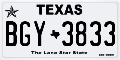 TX license plate BGY3833