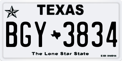 TX license plate BGY3834