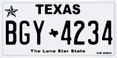 TX license plate BGY4234
