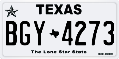 TX license plate BGY4273