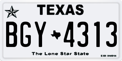 TX license plate BGY4313
