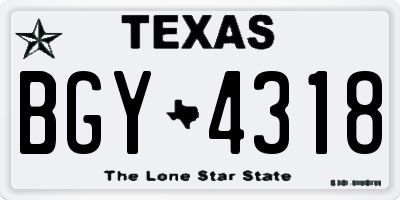 TX license plate BGY4318