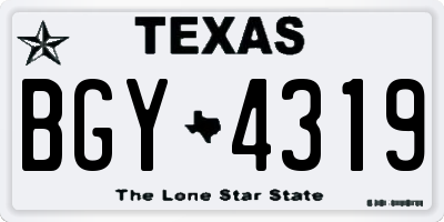 TX license plate BGY4319
