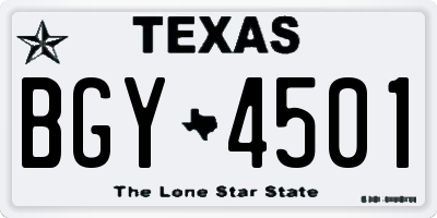 TX license plate BGY4501