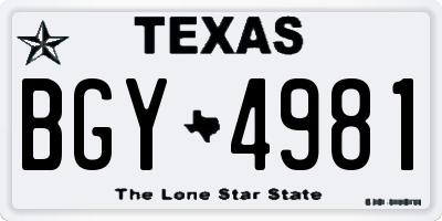 TX license plate BGY4981