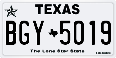 TX license plate BGY5019