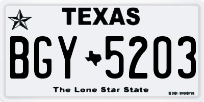 TX license plate BGY5203