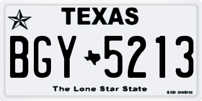 TX license plate BGY5213