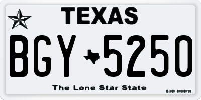 TX license plate BGY5250