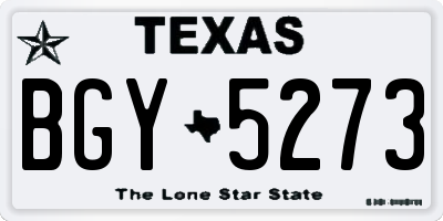 TX license plate BGY5273